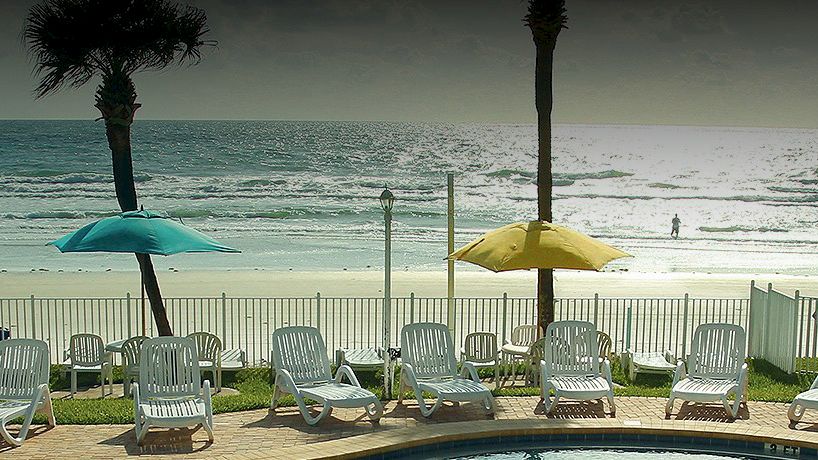 A serene beach scene featuring lounge chairs, colorful umbrellas, palm trees, and a gently rolling ocean.