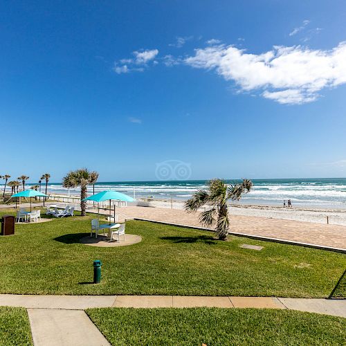 A beachfront view with a grass lawn, palm trees, and beach umbrellas, leading to a sandy beach and ocean under a clear blue sky.