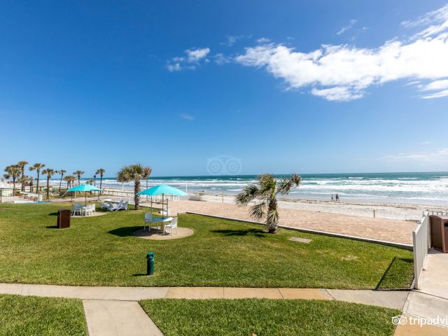 A beachside view with palm trees, umbrellas, and a grassy area.