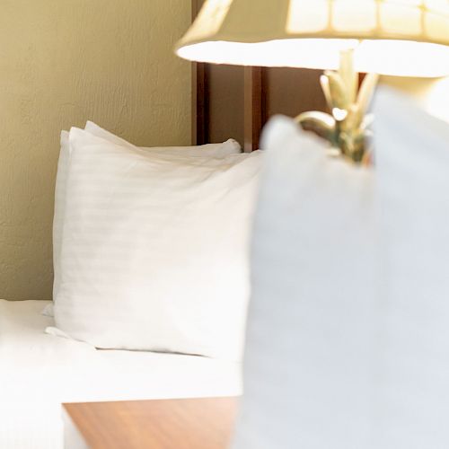 The image shows a close-up of a bed with white pillows and a bedside lamp on a wooden nightstand, all illuminated by natural light.