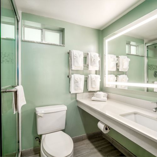 A modern bathroom with a glass shower, toilet, and a rectangular mirror above a long countertop with a sink; neatly hung towels are on the wall.