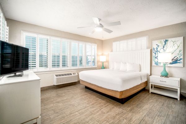 A modern bedroom with a large bed, TV, nightstand, lamp, wall art, ceiling fan, and windows with shutters, featuring a neutral color scheme.